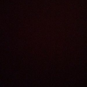 Meet your Posher, Bernadette